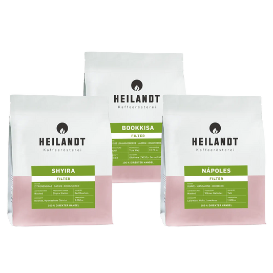 Microlot Box - Filter