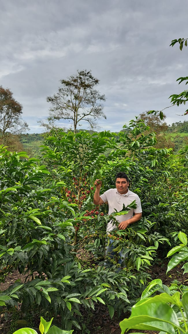 El Romerillo Espresso